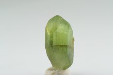 Peridot m. Ludwigit Einschlüssen