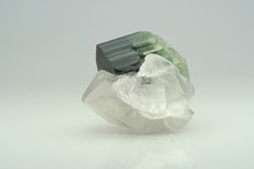 Doubly terminated Tourmaline on Quartz