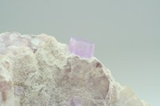 Feiner violetter Apatit Kristall 