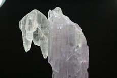 Bi-colored  Kunzite  Crystal