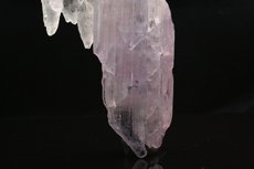 Bi-colored  Kunzite  Crystal