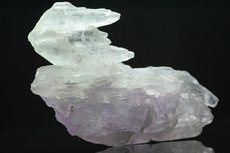 Bi-colored  Kunzite  Crystal