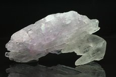 Bi-colored  Kunzite  Crystal