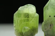 Peridot Kristalle mit Ludwigit Einschlüssen