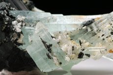 Aquamarine Kristalle auf Schörl