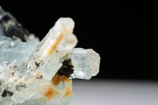 Aquamarine Kristalle auf Schörl