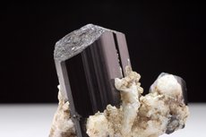 Schorl Crystals on Albite