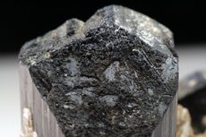 Schorl Crystals on Albite