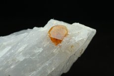 Schöner Chondrodit Kristall auf Kalzit 