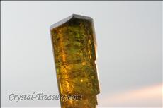 Fine Yellow / Green Liddicoatite