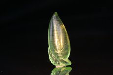 Top Rare Peridot Cat's Eye