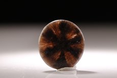 Trapiche Spinell Cabochon