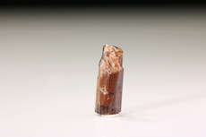 Gemmy terminated Painite Crystal 