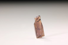 Gemmy terminated Painite Crystal 