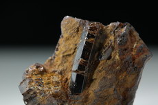 3 Lustrous partly Terminated Painite Crystal in Matrix