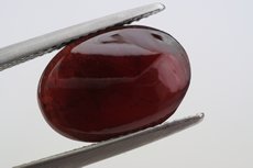 Star Garnet from Sri Lanka