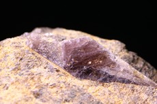 Zircon Crystal  in Matrix Sri Lanka