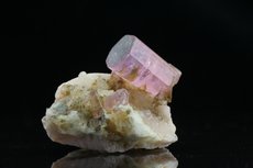 Fine Rubellite Crystal on Matrix