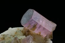 Fine Rubellite Crystal on Matrix