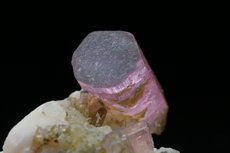 Fine Rubellite Crystal on Matrix