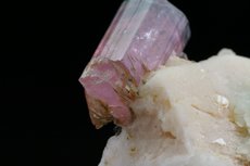 Fine Rubellite Crystal on Matrix