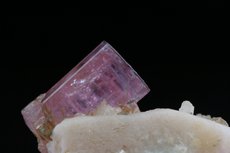 Fine Rubellite Crystal on Matrix