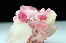 Pinkfarbige Turmaline Kristalle auf Quarz