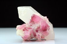 Pinkfarbige Turmaline Kristalle auf Quarz