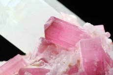 Pinkfarbige Turmaline Kristalle auf Quarz