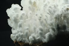 Huge Hydrozincite Stalactite