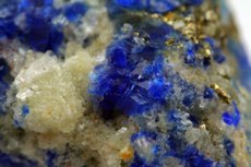 Sodalite Crystals in Matrix Afghanistan