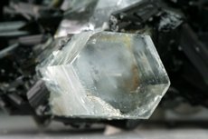 TOP Aquamarin Kristalle auf Schörl mit Fluorit