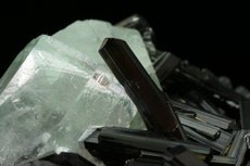 TOP Aquamarin Kristalle auf Schörl mit Fluorit