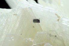 Große Cleavelandit Stufe mit Indigolith Kristallen