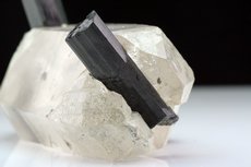 Feine Schörl - Stufe mit Quartz