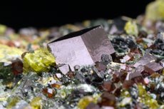 Schöner Andradit Kristall mit Epidot & Diopsid