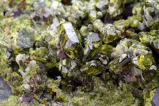 Andradite & Epidote & Diopside Paragenesis