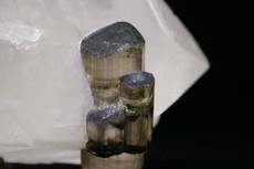 Zweifarbige Turmalin Kristalle auf Quarz