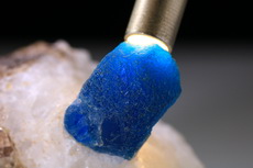 Transluzenter Sodalith Kristall in Matrix