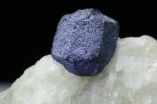 Schön auskristallisierter Lasurit Kristall auf Matrix