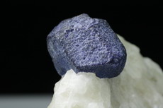 Schön auskristallisierter Lasurit Kristall auf Matrix