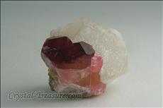 Rubellite on  Quartz