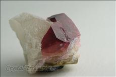 Rubellite on  Quartz