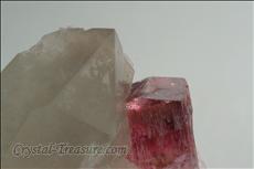 ルベライト (Rubellite) on  石英 (Quartz) with 雲母 (Mica)