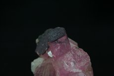 Beautiful Rubellite Twin