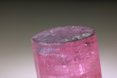 Pink  Tourmaline Crystal (blue cap) Burma