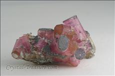 Fine Pink 電気石 (Tourmaline) Cabinet