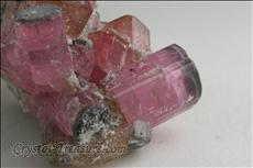 Fine Pink 電気石 (Tourmaline) Cabinet