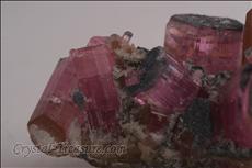 Fine Pink 電気石 (Tourmaline) Cabinet