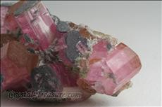 Fine Pink 電気石 (Tourmaline) Cabinet